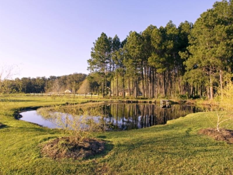 Bobs Farm NSW 2316