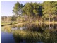 Bobs Farm NSW 2316