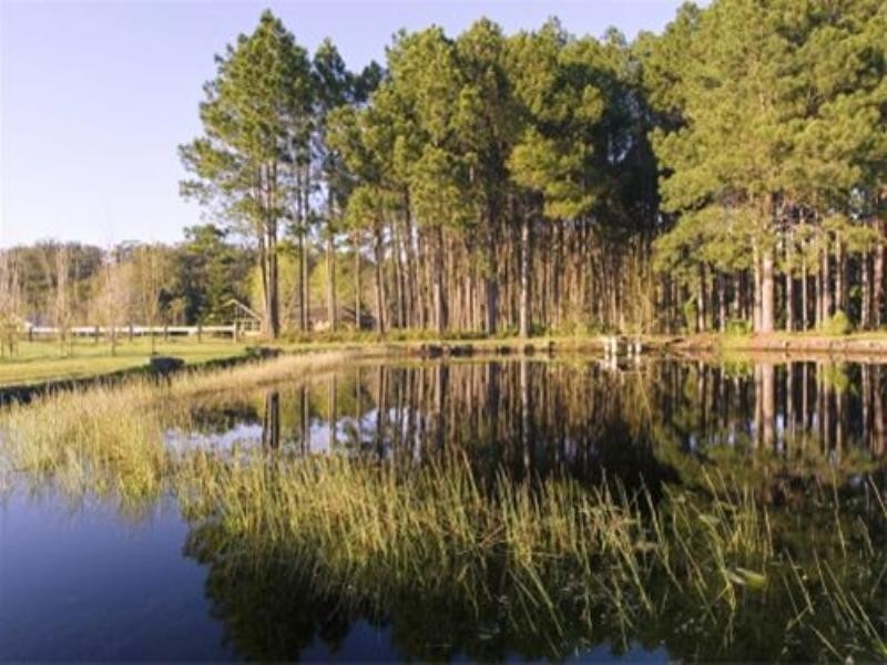 Bobs Farm NSW 2316