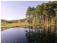 Bobs Farm NSW 2316