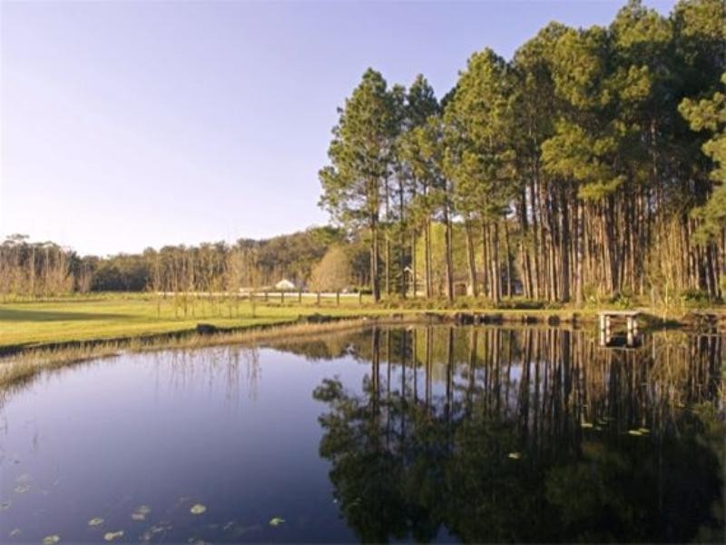 Bobs Farm NSW 2316