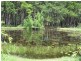 Bobs Farm NSW 2316
