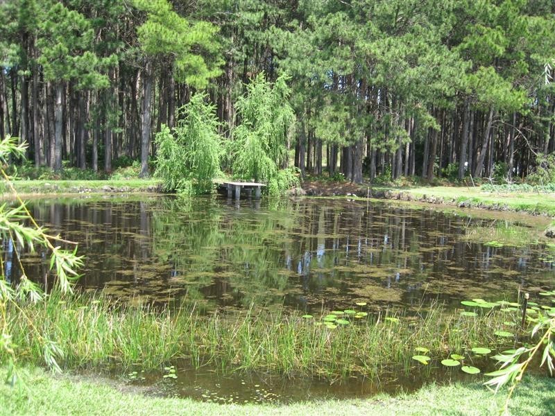 Bobs Farm NSW 2316