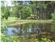 Bobs Farm NSW 2316
