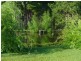 Bobs Farm NSW 2316
