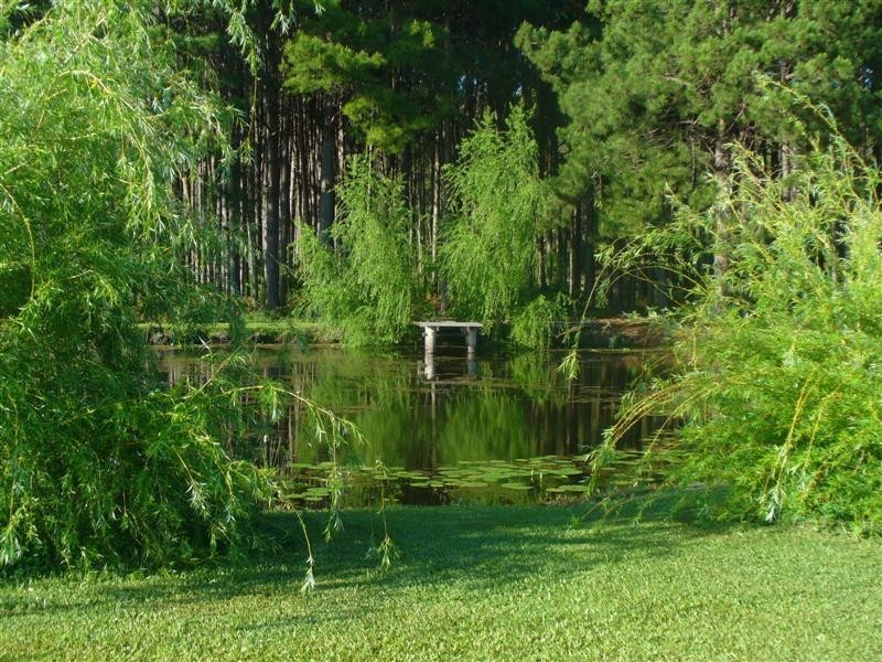 Bobs Farm NSW 2316