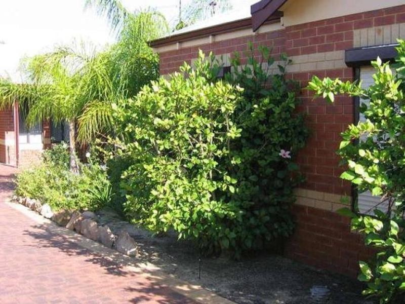 24/8 Garnsworthy Place, Bassendean WA 6054