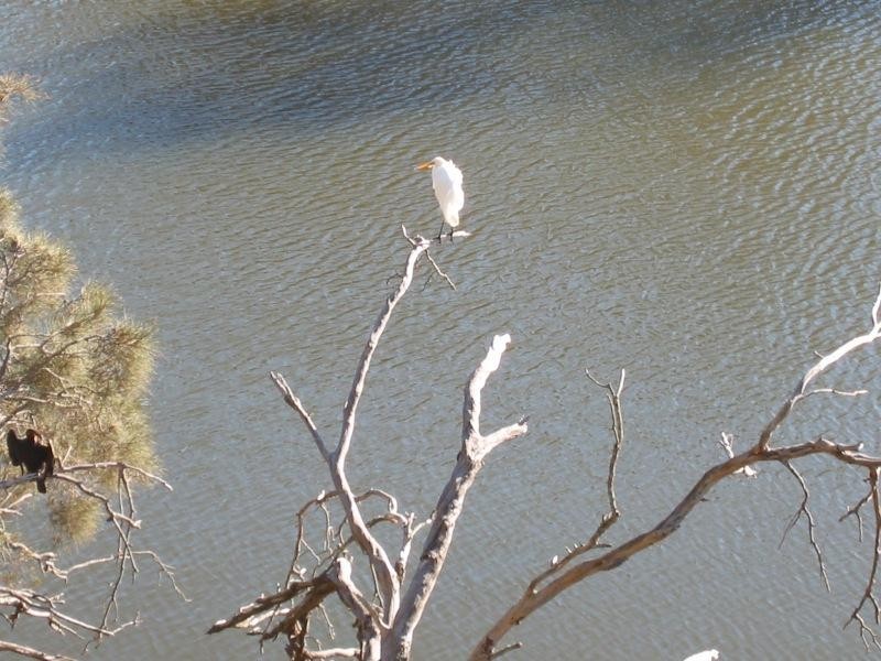 6 Anzac Terrace, Bassendean WA 6054