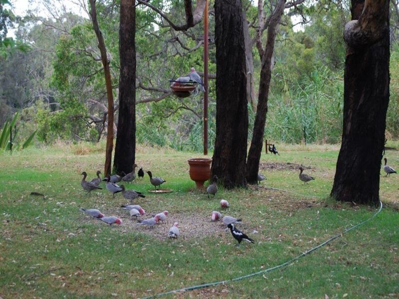 6 Anzac Terrace, Bassendean WA 6054