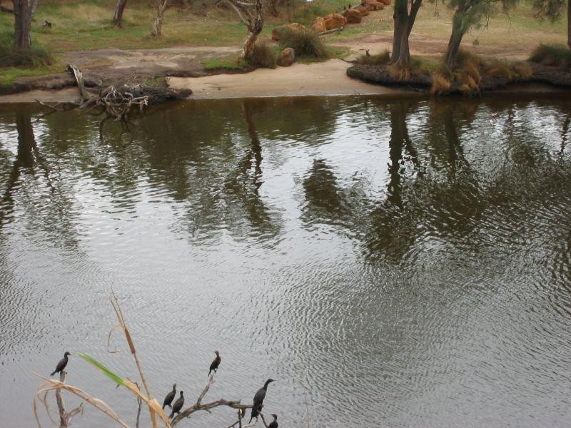 6 Anzac Terrace, Bassendean WA 6054