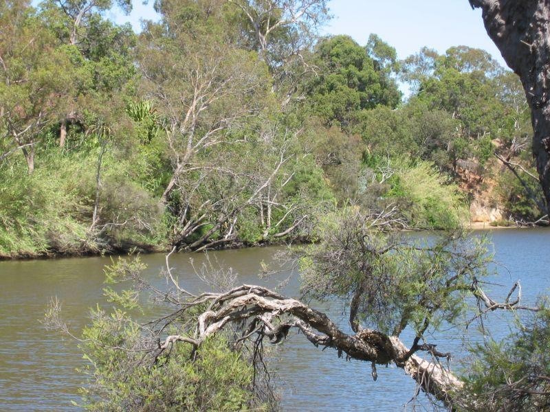 6 Anzac Terrace, Bassendean WA 6054