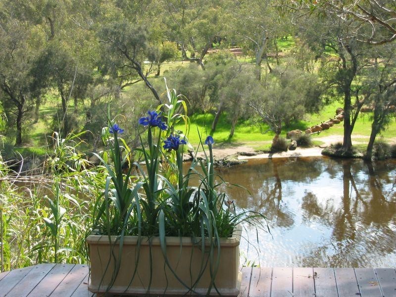 6 Anzac Terrace, Bassendean WA 6054