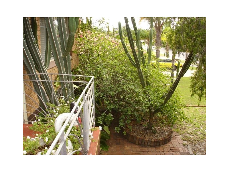 27 Penzance Street, Bassendean WA 6054