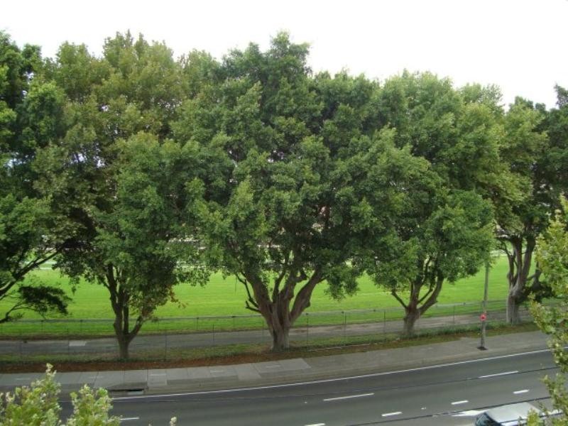 546 Bunnerong Road, Matraville NSW 2036