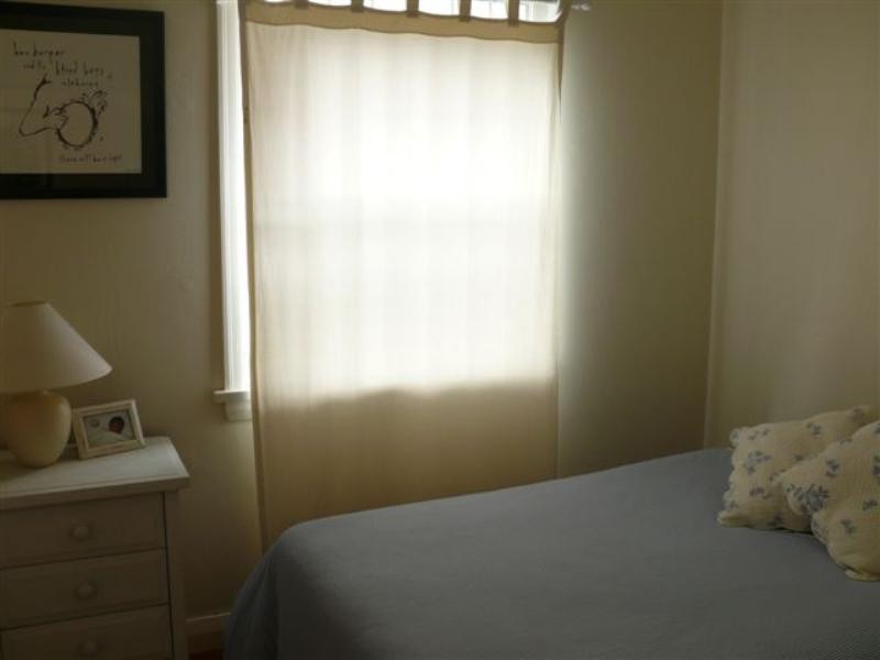 100 Wallis Street, Woollahra NSW 2025