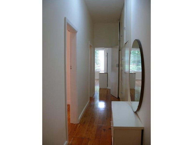 31 Langlee Avenue, Waverley NSW 2024