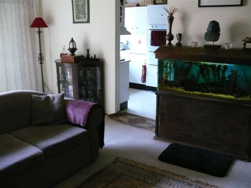 11 Blenhiem Street, Randwick NSW 2031