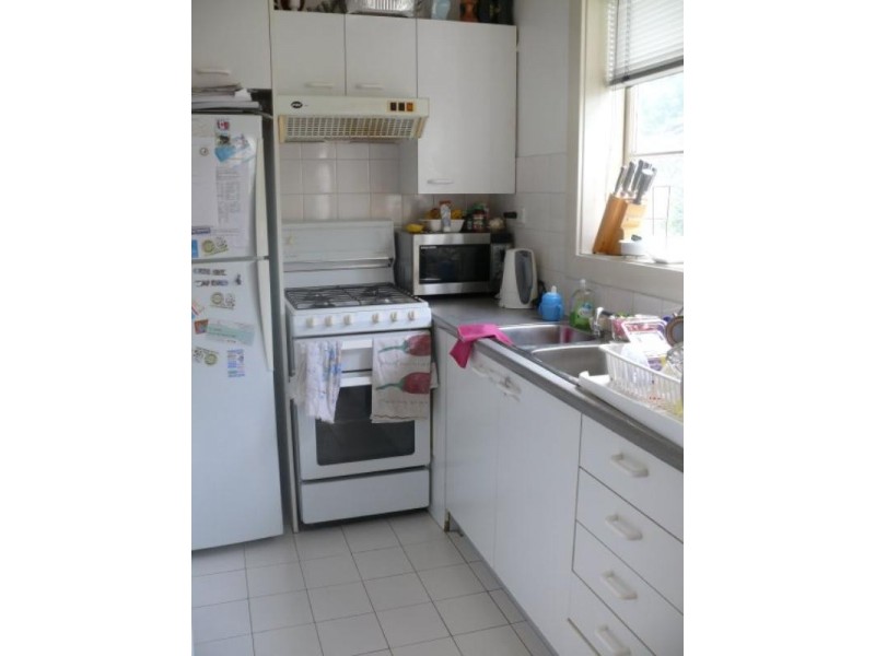 11 Patterson Street, Double Bay NSW 2028