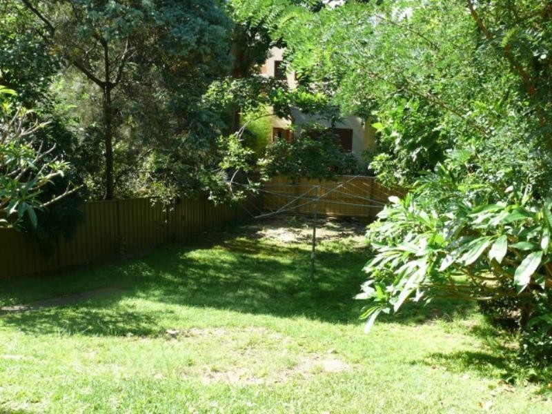 29 Dolphin Street, Randwick NSW 2031