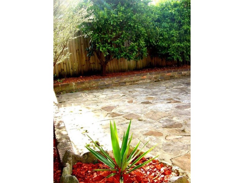 16 Eurimbla Street, Randwick NSW 2031