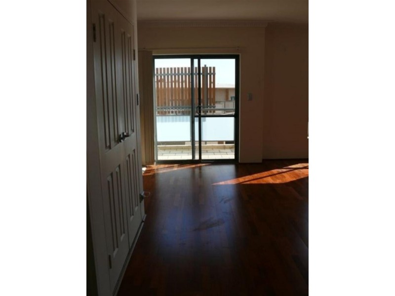 6a Cowper Street, Randwick NSW 2031