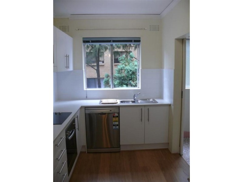 2 Clara Street, Randwick NSW 2031
