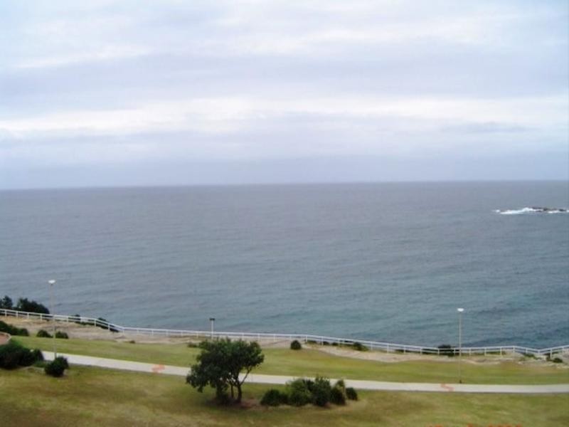 23 Baden Street, Coogee NSW 2034