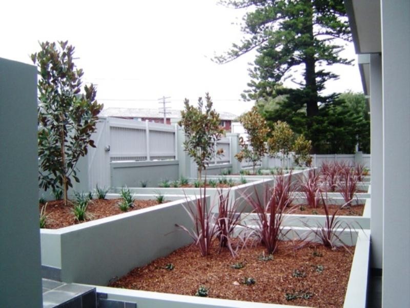 34 Avoca Street, Randwick NSW 2031