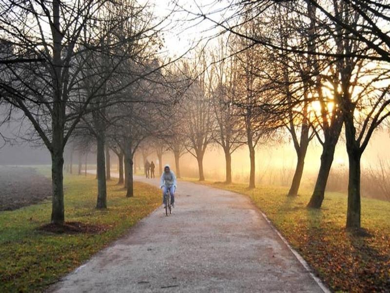 9-15 Ascot Street, Kensington NSW 2033