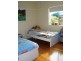3 Virginia Street, Kensington NSW 2033