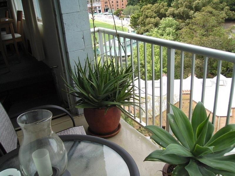 710/34 Wentworth Street, Glebe NSW 2037