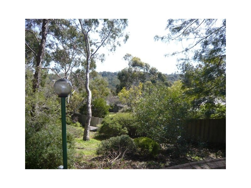 12 Currawong Crescent, Coromandel Valley SA 5051