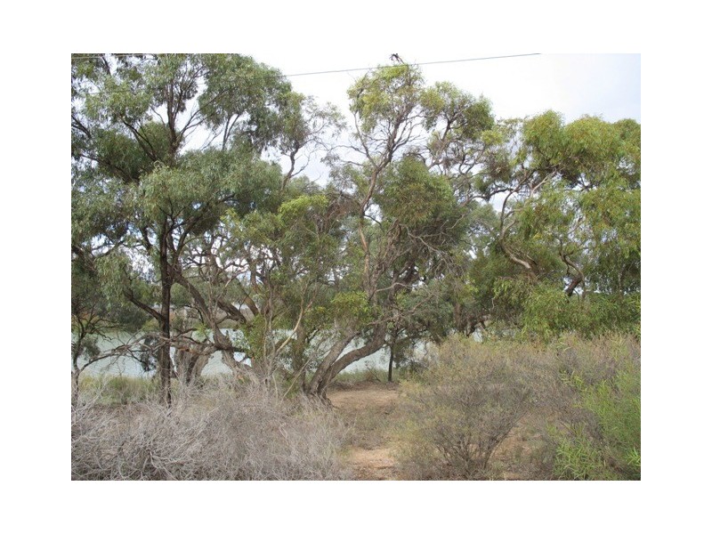 Lot 202 Loxton Moorook Road, Moorook SA 5332