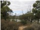 Lot 202 Loxton Moorook Road, Moorook SA 5332