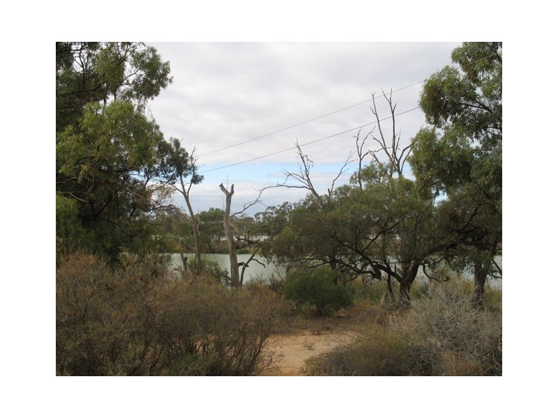 Lot 202 Loxton Moorook Road, Moorook SA 5332