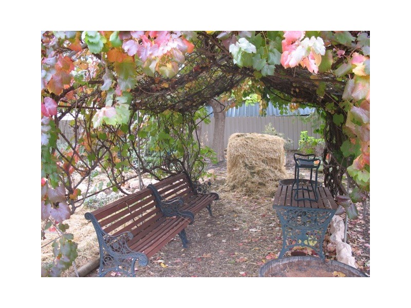 Lot 202 Loxton Moorook Road, Moorook SA 5332