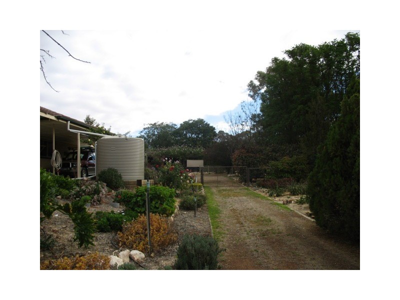 Lot 202 Loxton Moorook Road, Moorook SA 5332