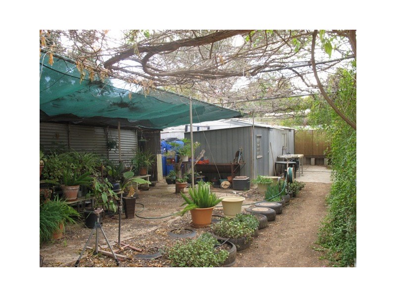 Lot 202 Loxton Moorook Road, Moorook SA 5332