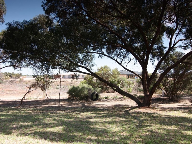 63 Fairweather Avenue, Loxton SA 5333