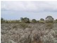 31 Slaughterhouse Road, Morgan SA 5320