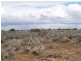 31 Slaughterhouse Road, Morgan SA 5320