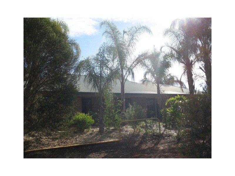 132 Chapple Road, Winkie SA 5343