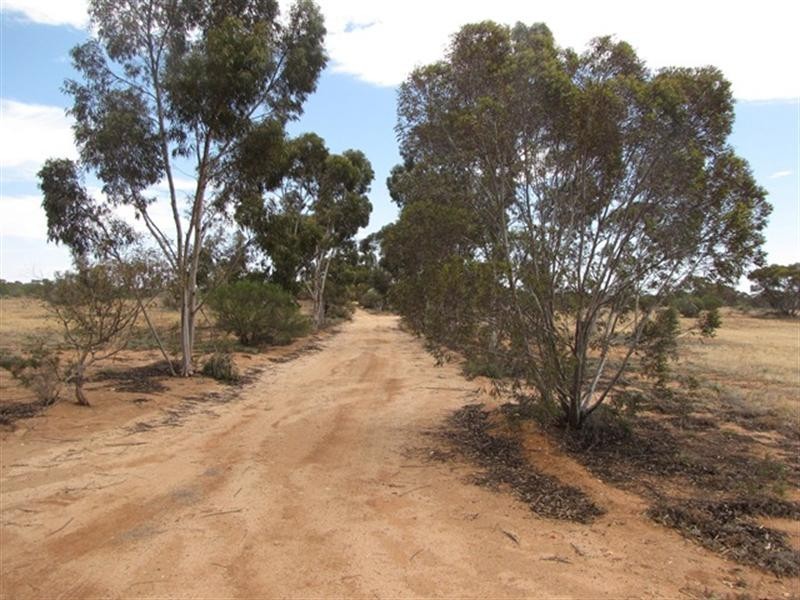 132 Chapple Road, Winkie SA 5343