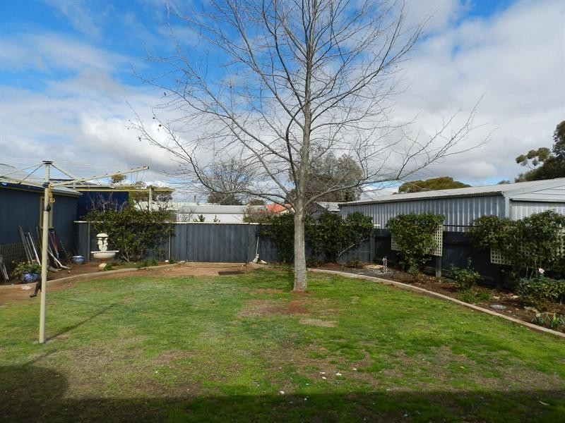 20 Gilbert Street, Berri SA 5343