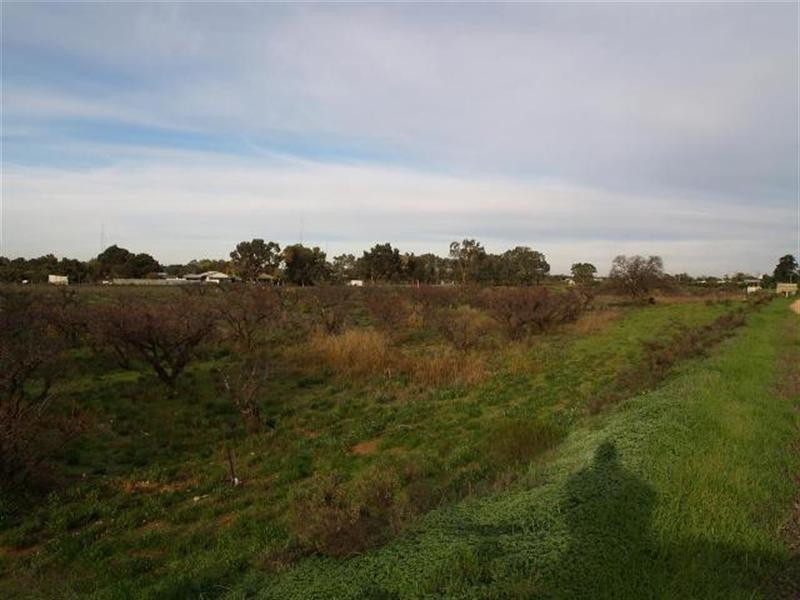 182 and 183 Checker Road, Waikerie SA 5330