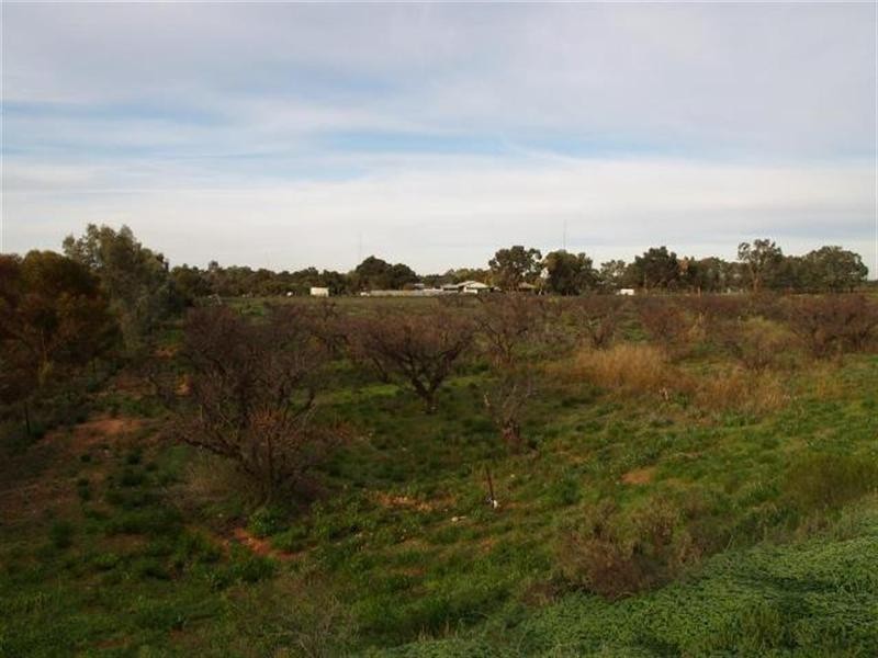 182 and 183 Checker Road, Waikerie SA 5330