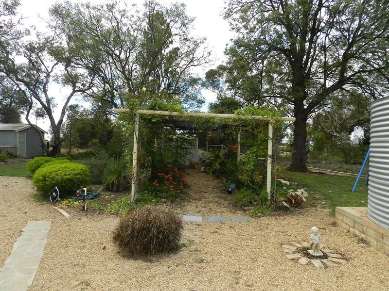 77 Alamein Avenue, Loxton North SA 5333