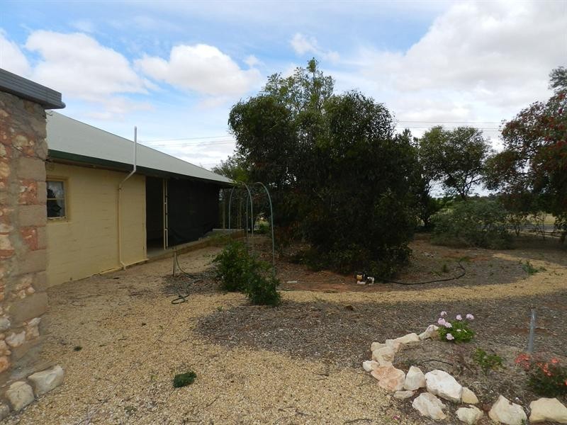 77 Alamein Avenue, Loxton North SA 5333