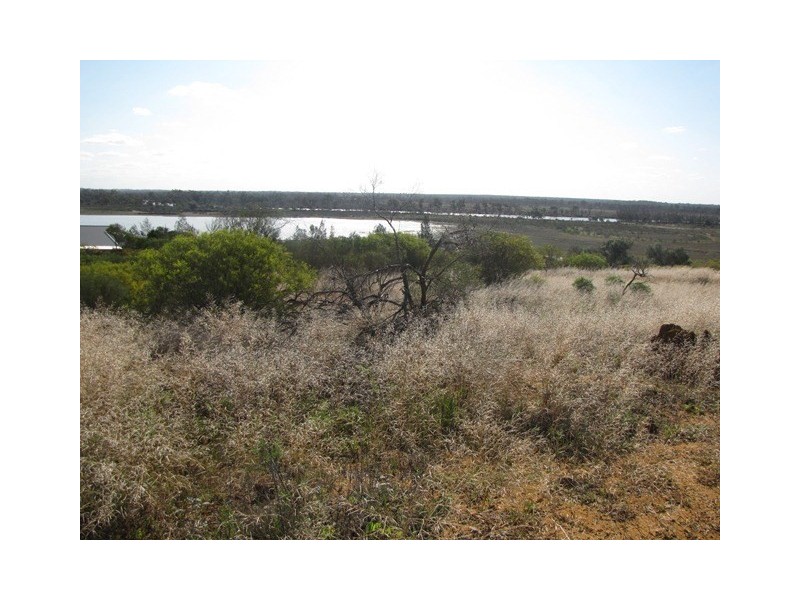 43 Wheatley Road, Loxton SA 5333