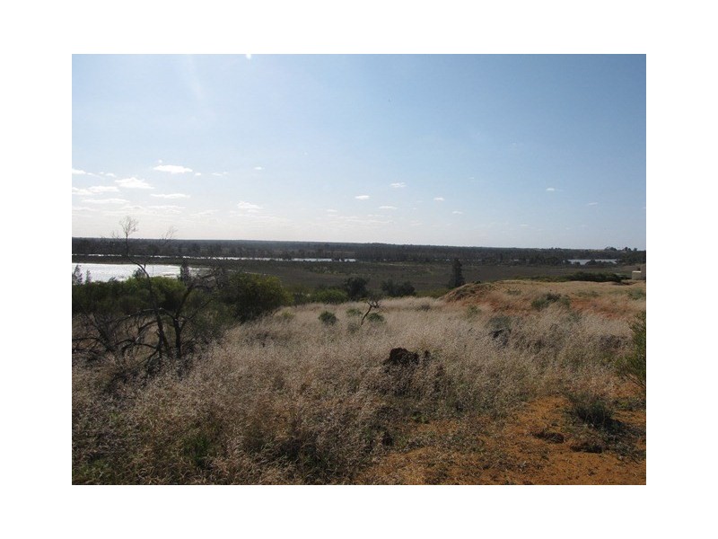 43 Wheatley Road, Loxton SA 5333